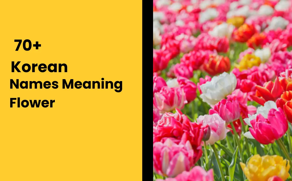 70-korean-names-meaning-flower-namescheetah