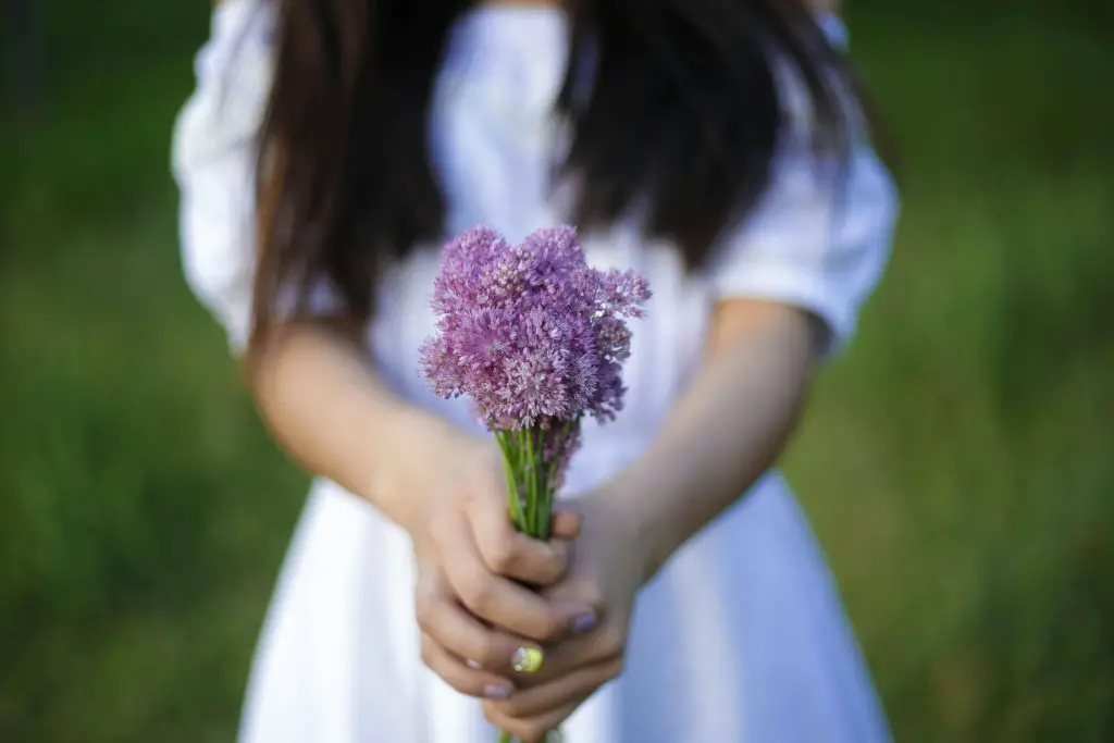 Japanese girl Names that Mean Purple