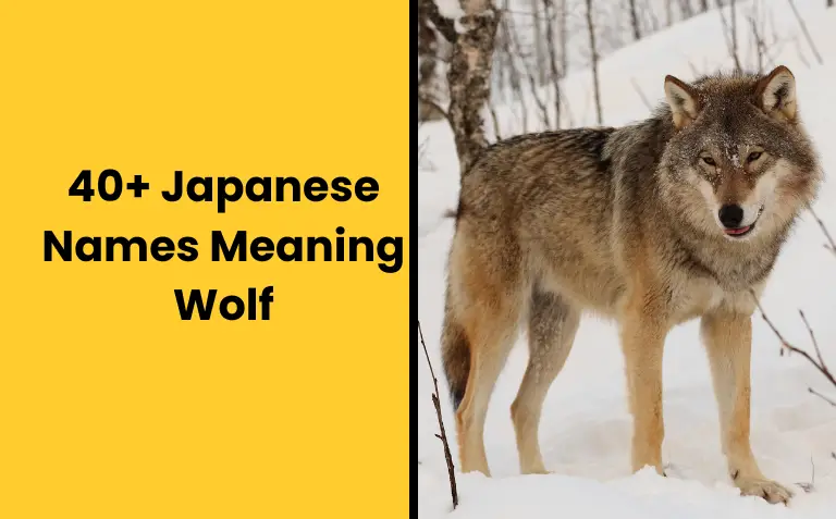 40+ Japanese Names Meaning Wolf – NamesCheetah